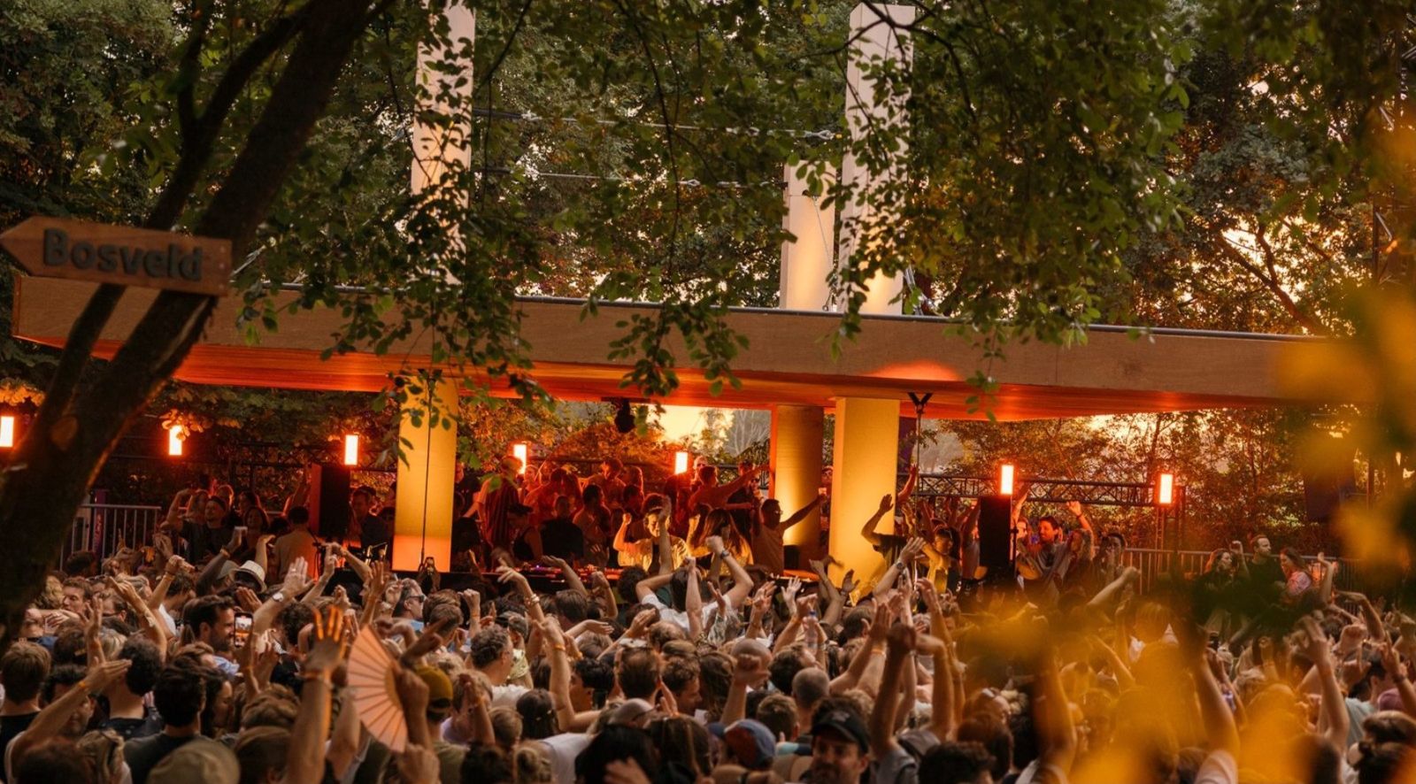 Festival crowd under trees in warm evening light